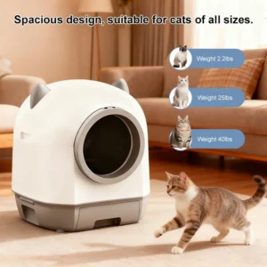 Photobank 13 300x300