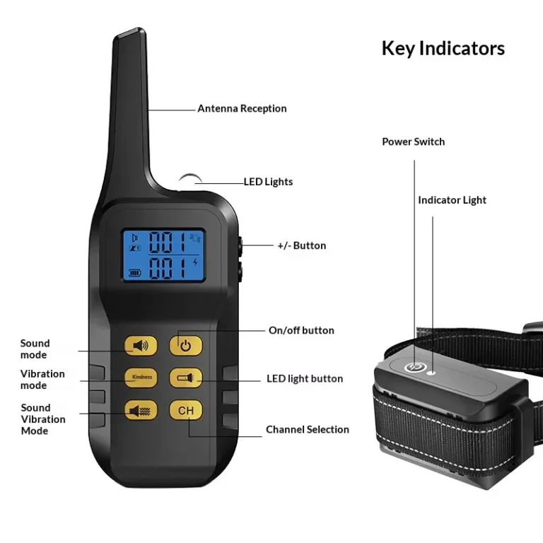 dog training collar (4)