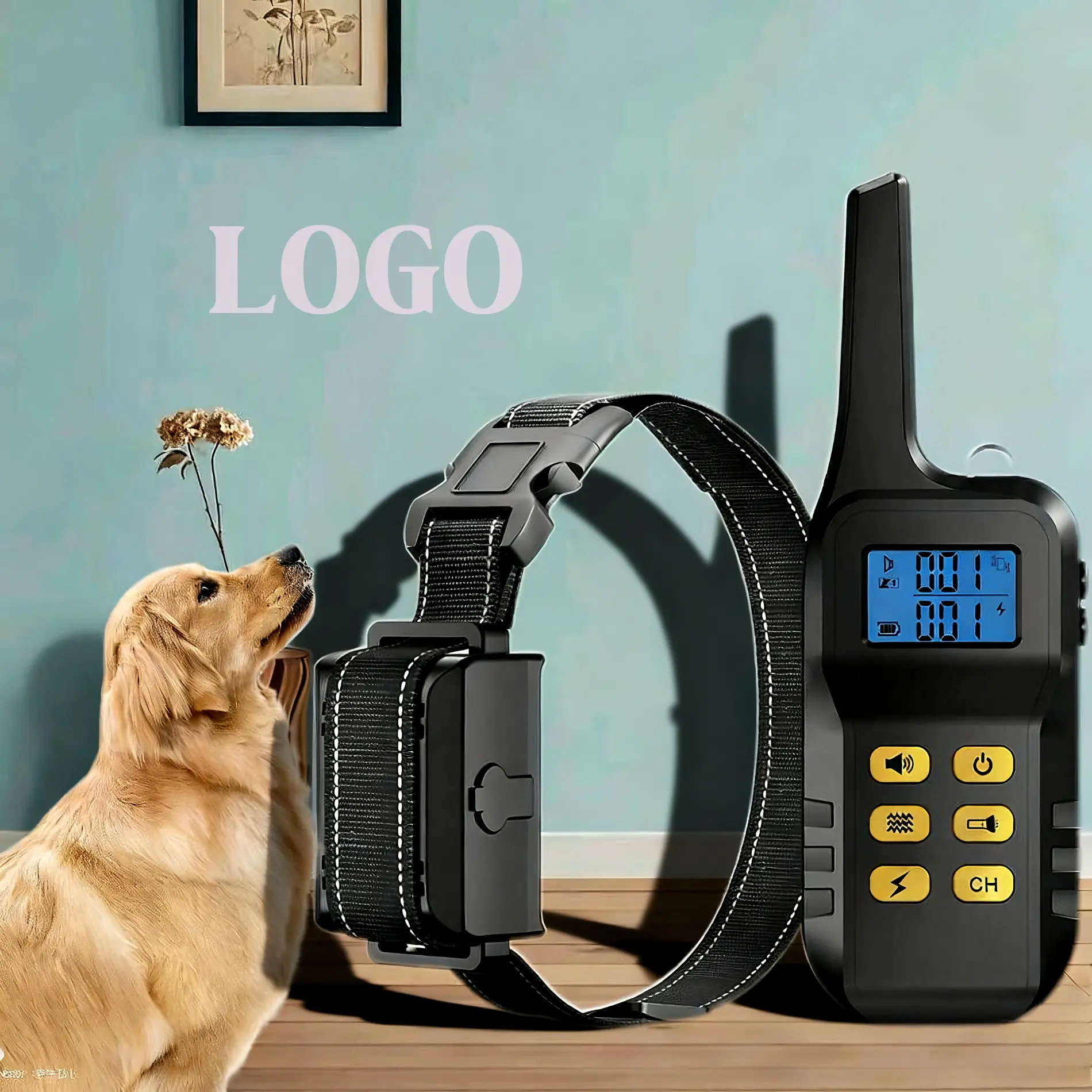 dog training collar (5)
