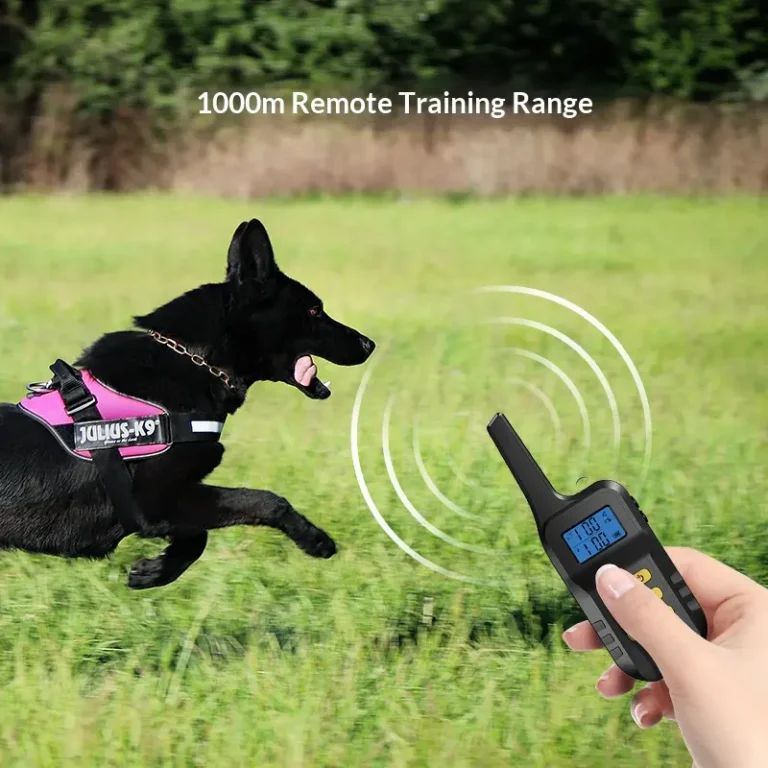 dog training collar (6)