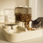 dog feeder (6)