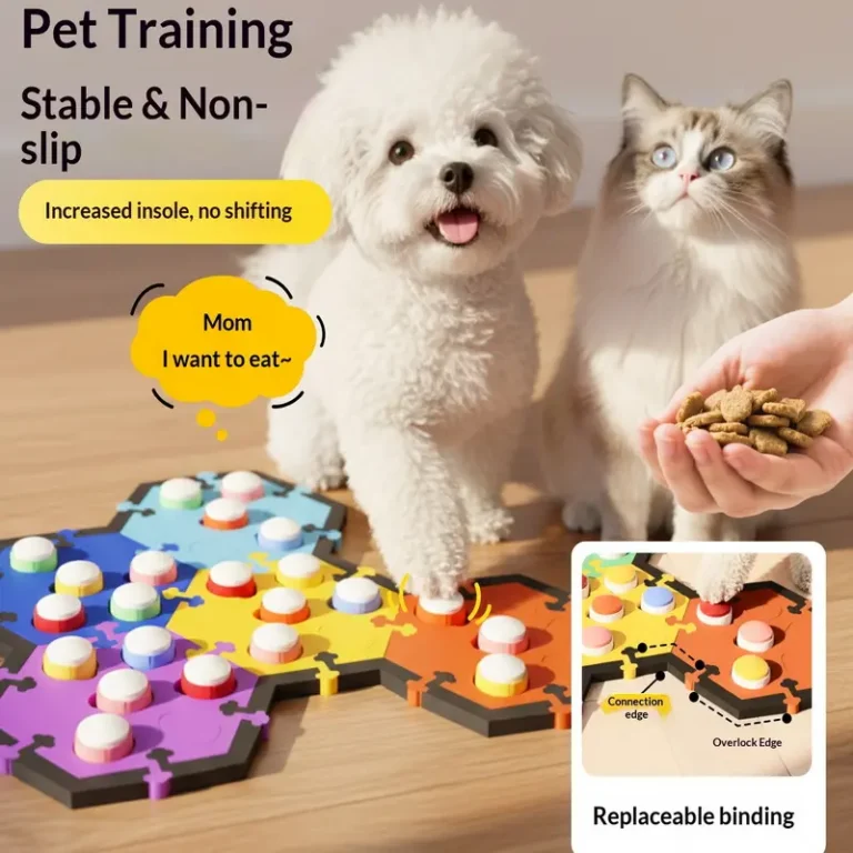 dog training toy (1)