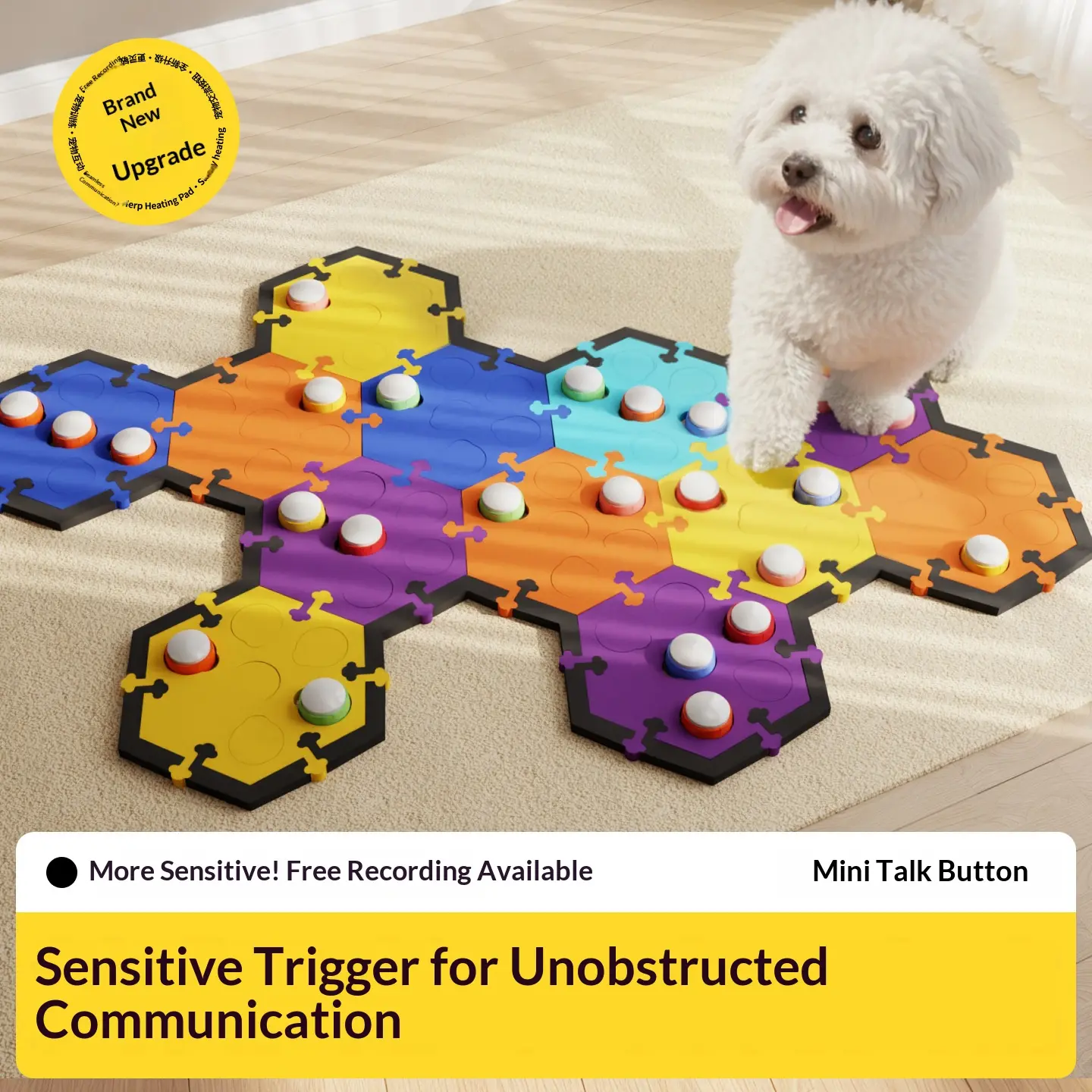 dog training toy (2)