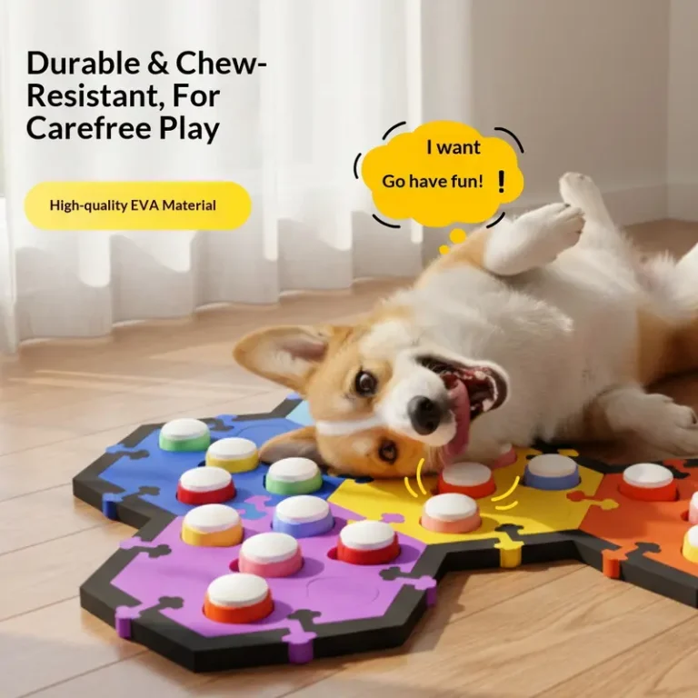 dog training toy (5)