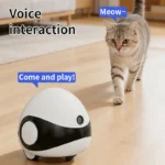 pet companion robot (1)