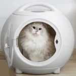 pet dryer (5)
