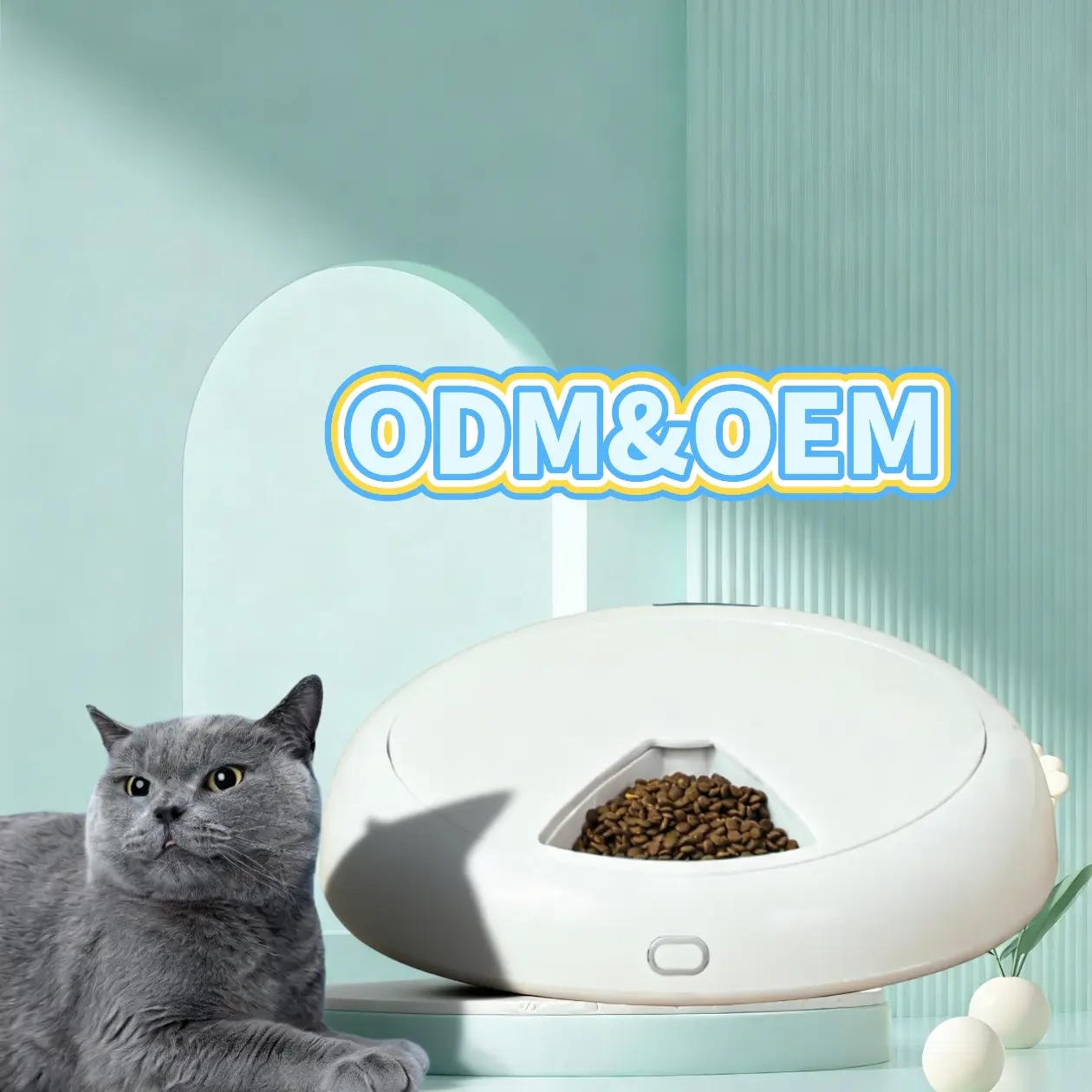 automaitc cat feeder (1)