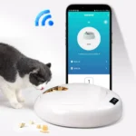automaitc cat feeder (1)