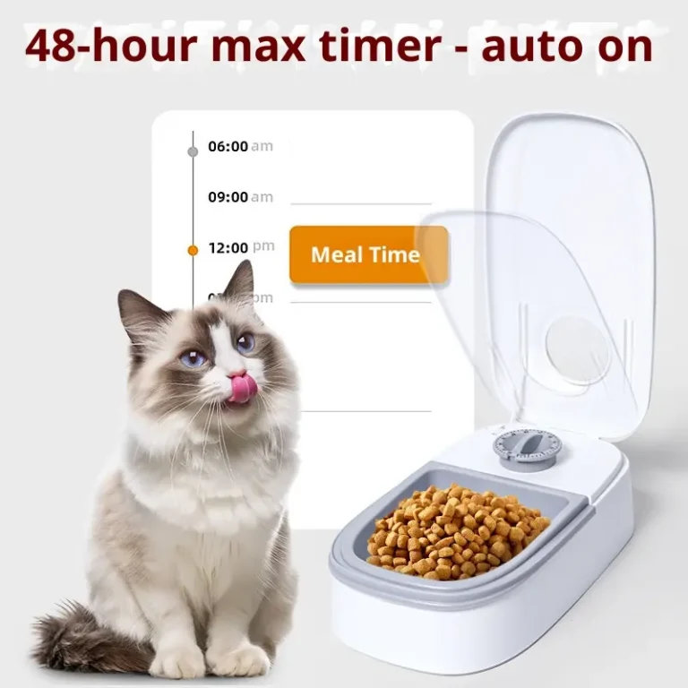 automatic cat feeder (11)