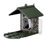 bird feeder (5)