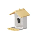 bird feeder (6)