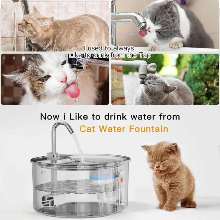cat water fountain (4)