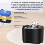 dog water fountain (1)