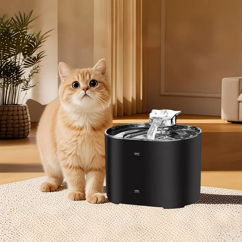 dog water fountain (2)