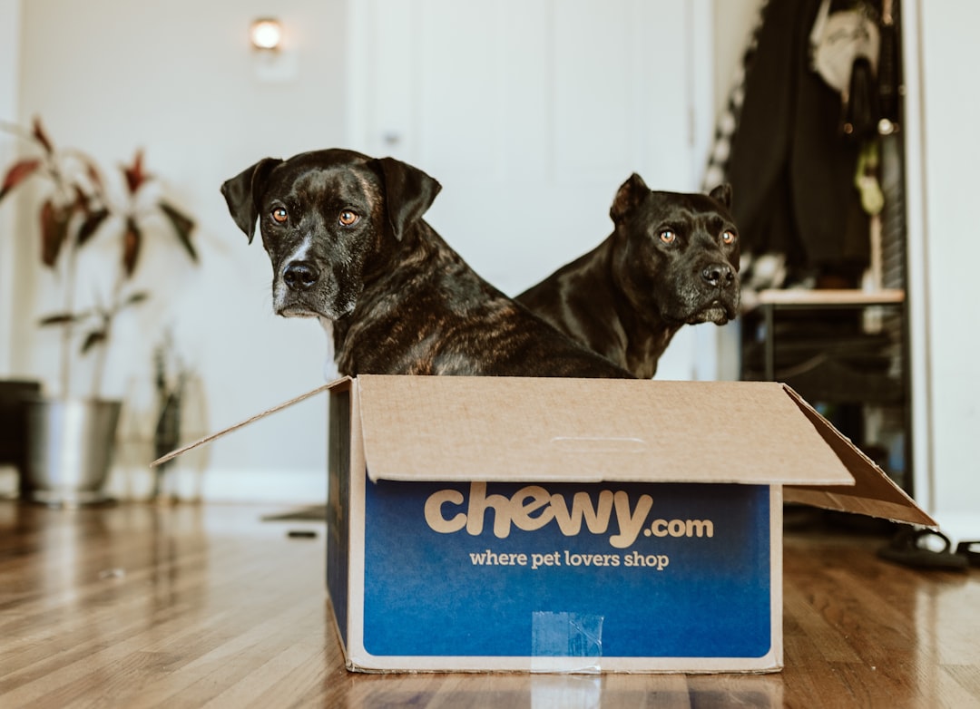 Dropshipping vs Wholesale vs Private Label Pet Products