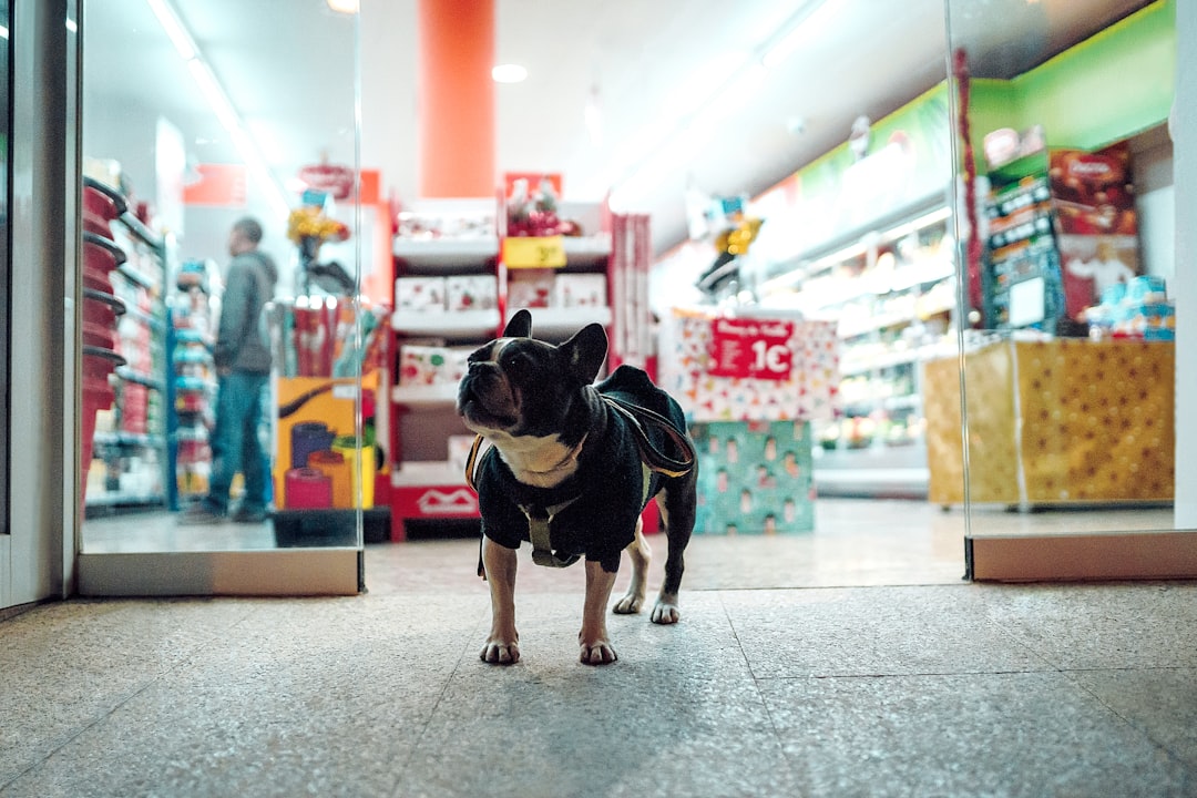 Product Liability Insurance for Imported Pet Products Product Liability Insurance for Imported Pet Products