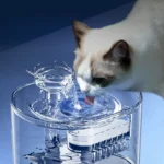 quiet cat water fountain (3)