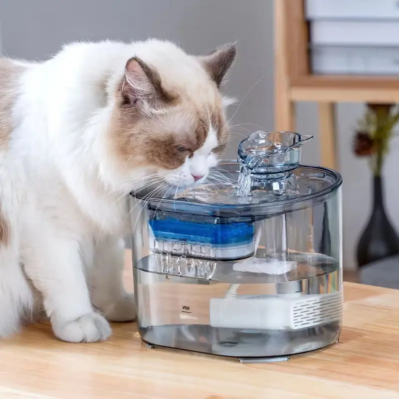 quiet cat water fountain (7)