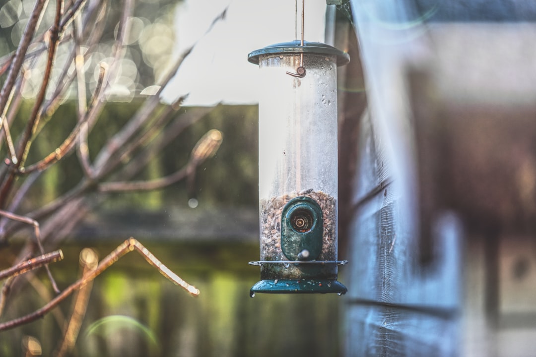 Smart Bird Feeders with Camera: A Growing Niche for Retailers