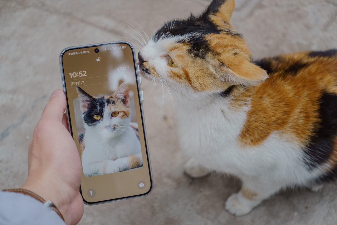 Smart Pet Feeder App Integration: What Buyers Expect in 2026