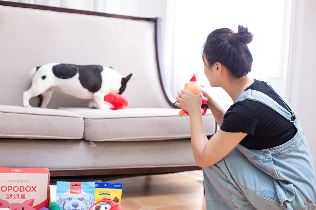 FCC Certification for Electronic Pet Products: A Complete Guide FCC Certification for Electronic Pet Products: A Complete Guide