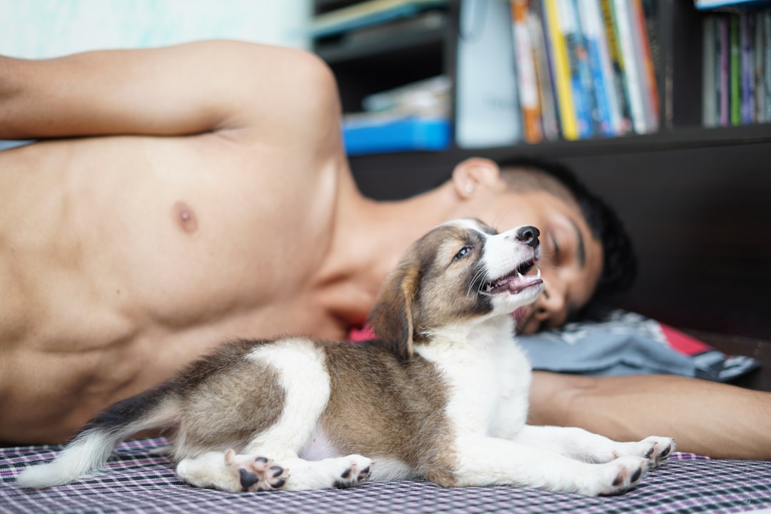 The Humanization of Pets: How It Is Driving Smart Product Demand