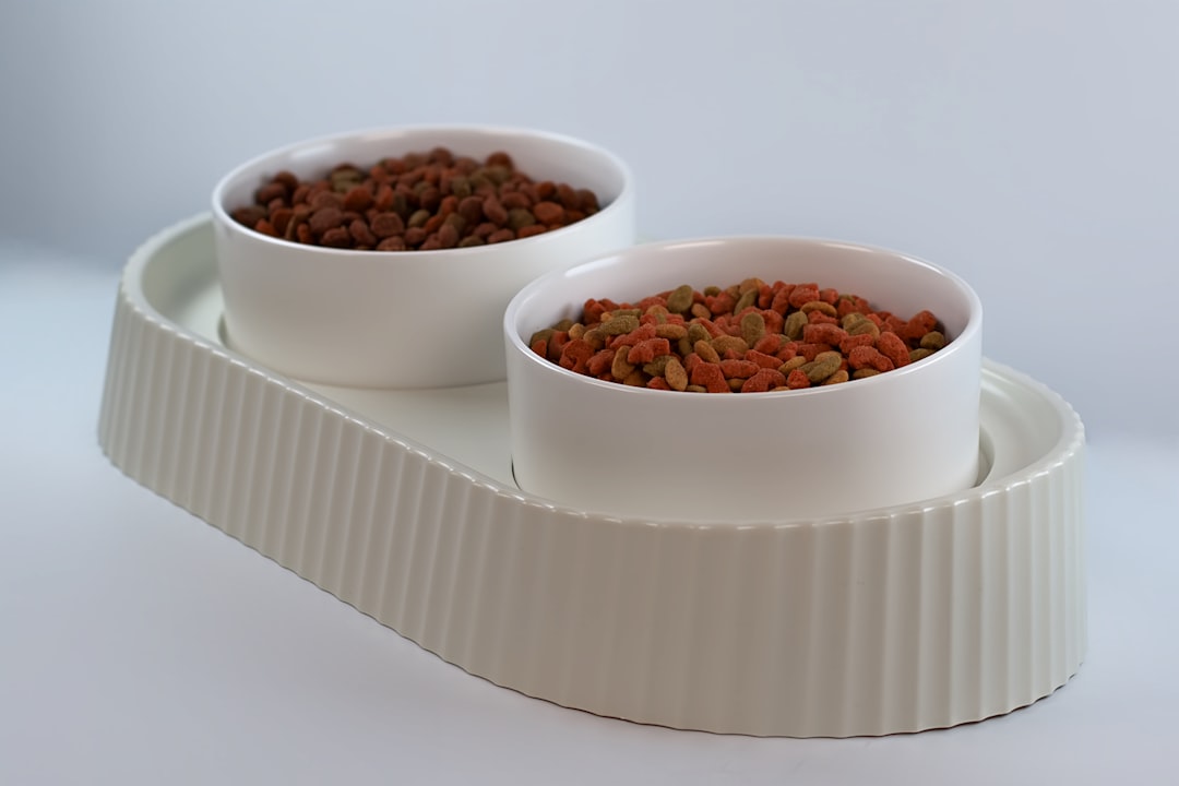 How to Set Up a Multi-Pet Smart Feeding Station