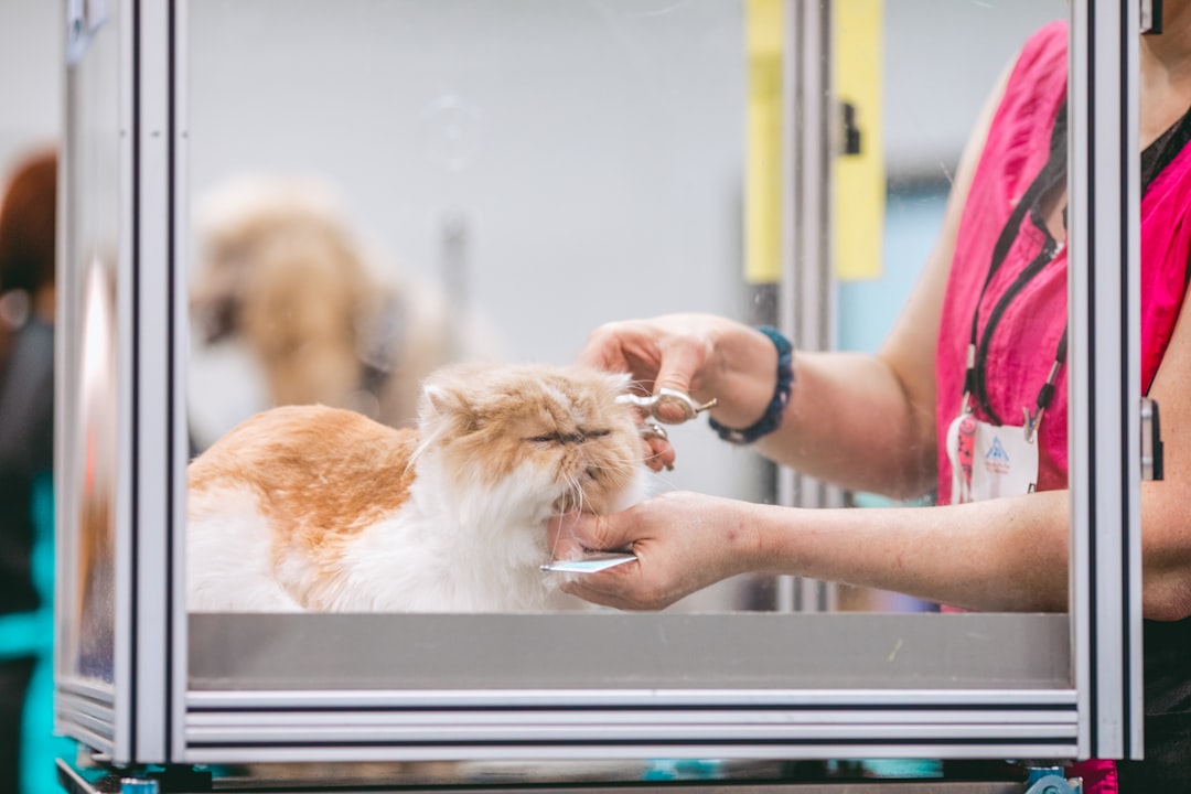 Pet Product Safety Testing: What Gets Tested and Why Pet Product Safety Testing: What Gets Tested and Why