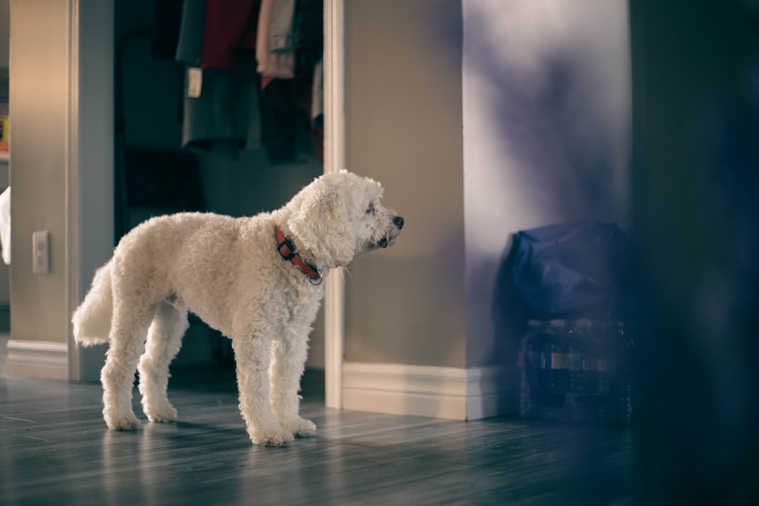 The Ultimate Pet-Proofing Guide for Smart Home Devices