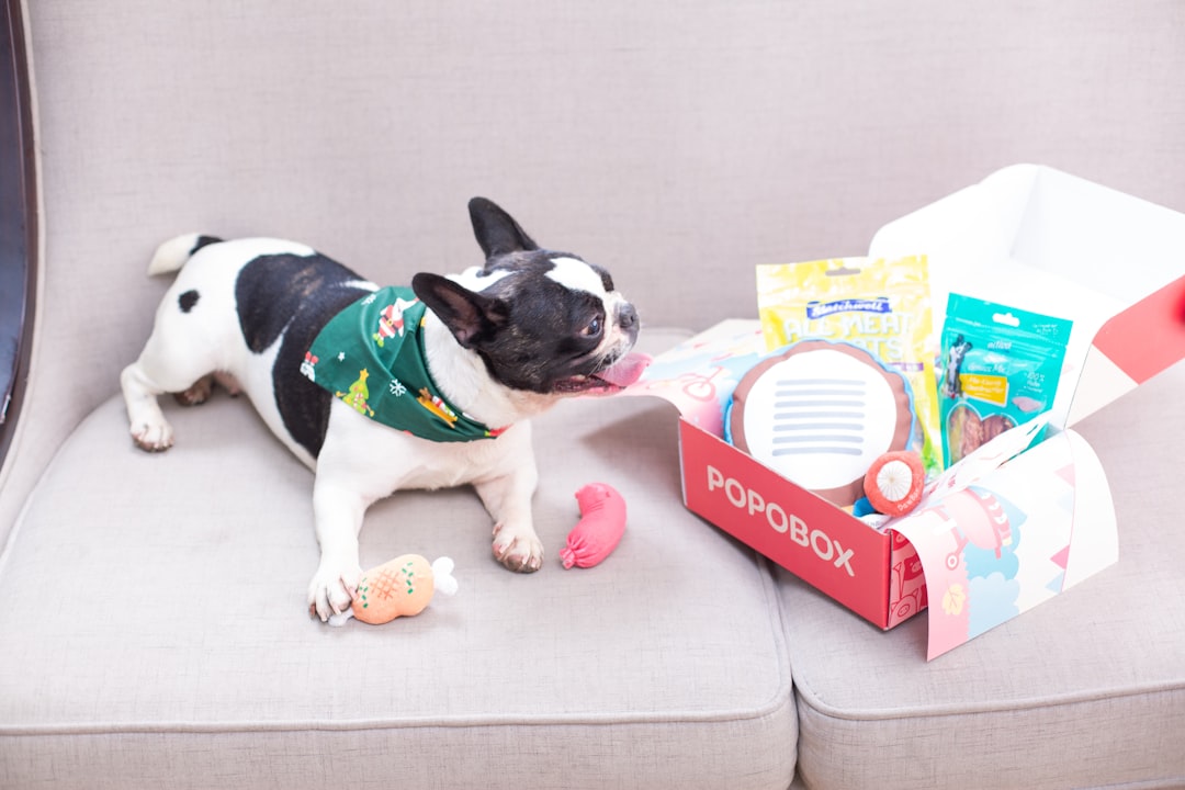 The Subscription Box Opportunity for Smart Pet Products The Subscription Box Opportunity for Smart Pet Products